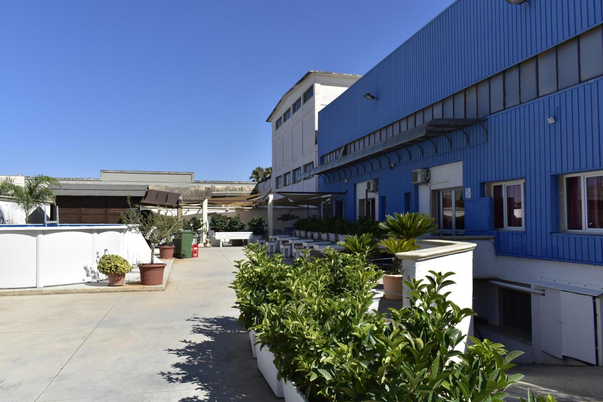 אלציו Ostello Salento מראה חיצוני תמונה